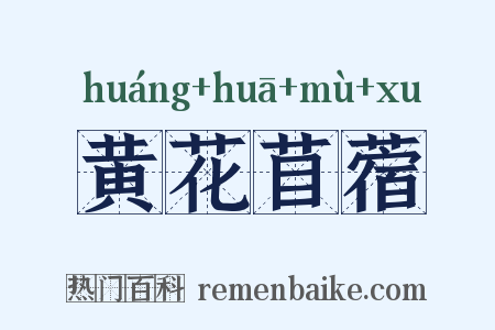 黄花苜蓿是什么意思的图片
